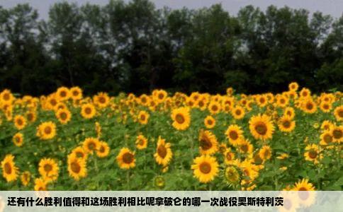 还有什么胜利值得和这场胜利相比呢拿破仑的哪一次战役奥斯特利茨