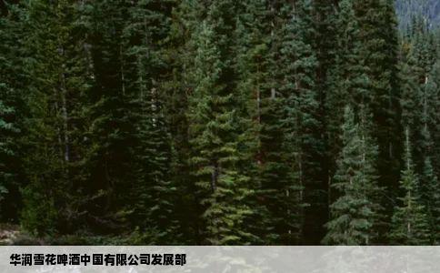 华润雪花啤酒中国有限公司发展部