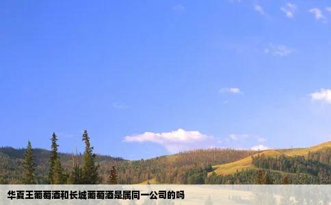 华夏王葡萄酒和长城葡萄酒是属同一公司的吗