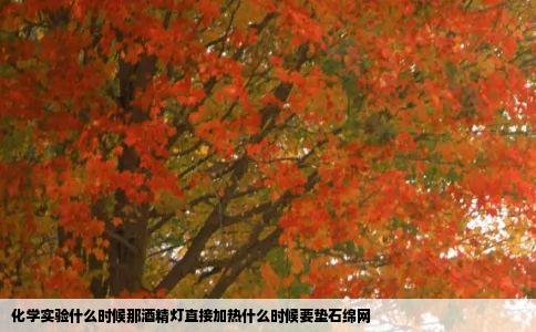 化学实验什么时候那酒精灯直接加热什么时候要垫石绵网