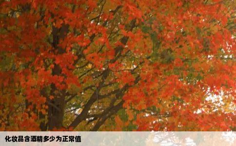 化妆品含酒精多少为正常值