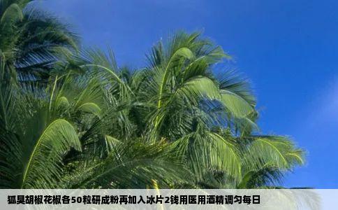 狐臭胡椒花椒各50粒研成粉再加入冰片2钱用医用酒精调匀每日