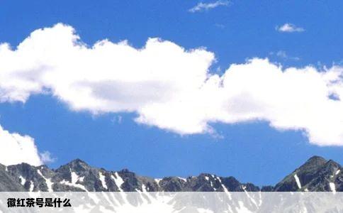 徽红茶号是什么