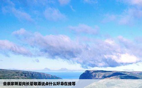 会亲家晚辈向长辈敬酒说点什么好急在线等