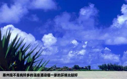 惠州是不是有好多的温泉酒店哪一家的环境比较好