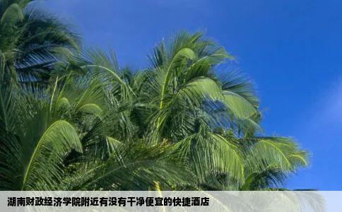 湖南财政经济学院附近有没有干净便宜的快捷酒店