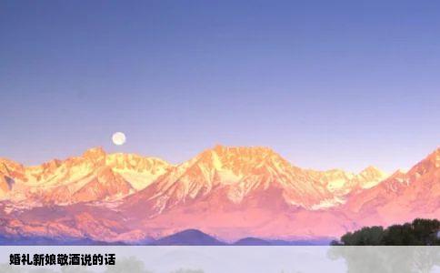 婚礼新娘敬酒说的话