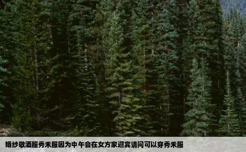 婚纱敬酒服秀禾服因为中午会在女方家迎宾请问可以穿秀禾服