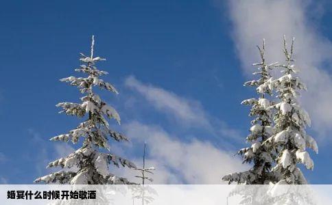 婚宴什么时候开始敬酒