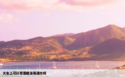 火车上可以带酒精消毒湿巾吗