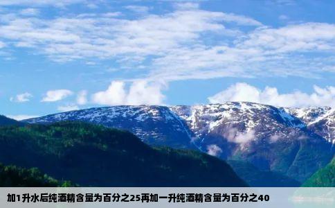 加1升水后纯酒精含量为百分之25再加一升纯酒精含量为百分之40