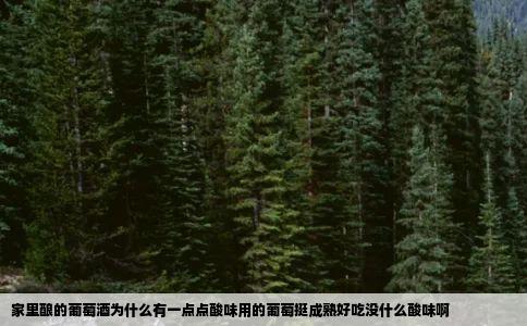 家里酿的葡萄酒为什么有一点点酸味用的葡萄挺成熟好吃没什么酸味啊