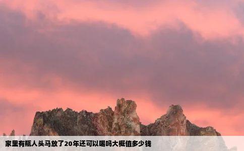 家里有瓶人头马放了20年还可以喝吗大概值多少钱