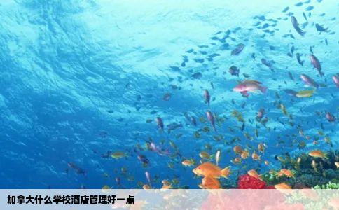 加拿大什么学校酒店管理好一点