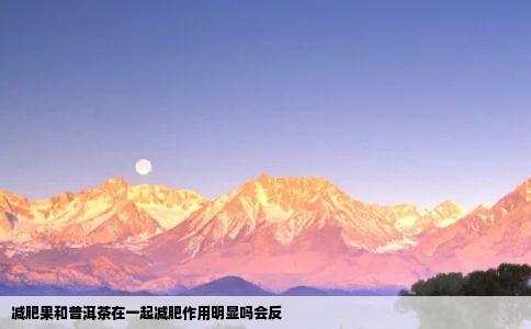 减肥果和普洱茶在一起减肥作用明显吗会反