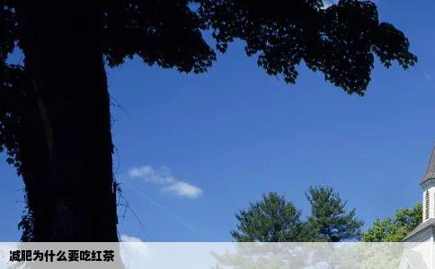 减肥为什么要吃红茶