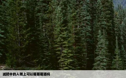 减肥中的人晚上可以喝葡萄酒吗