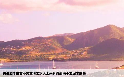 将进酒李白君不见黄河之水天上来奔流到海不复回求解释