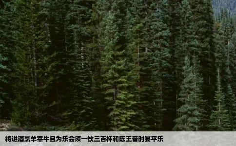 《将进酒》烹羊宰牛且为乐会须一饮三百杯和陈王昔时宴平乐