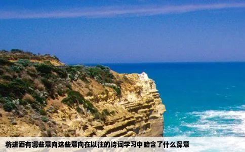 将进酒有哪些意向这些意向在以往的诗词学习中暗含了什么深意