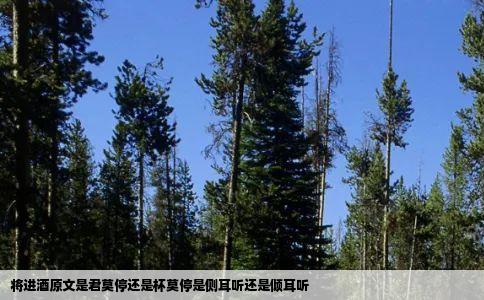 将进酒原文是君莫停还是杯莫停是侧耳听还是倾耳听