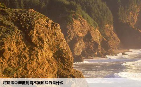 将进酒中奔流到海不复回写的是什么