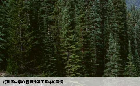 将进酒中李白借酒抒发了怎样的感情