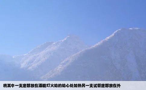 将其中一支底部放在酒精灯火焰的焰心处加热另一支试管底部放在外