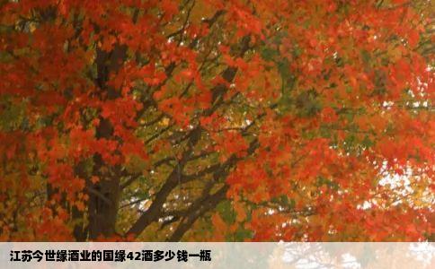 江苏今世缘酒业的国缘42酒多少钱一瓶