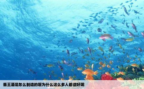 酱王酒是怎么制造的啊为什么这么多人都讲好呢