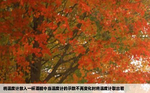 将温度计放入一杯酒精中当温度计的示数不再变化时将温度计取出若