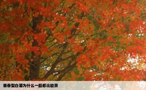 酱香型白酒为什么一般都比较贵