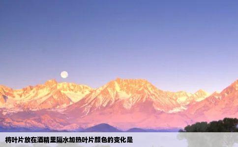 将叶片放在酒精里隔水加热叶片颜色的变化是