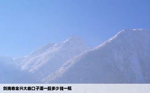 剑南春、全兴大曲、口子酒一般多少钱一瓶