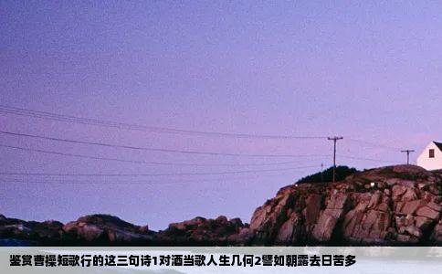 鉴赏曹操短歌行的这三句诗1对酒当歌人生几何2譬如朝露去日苦多