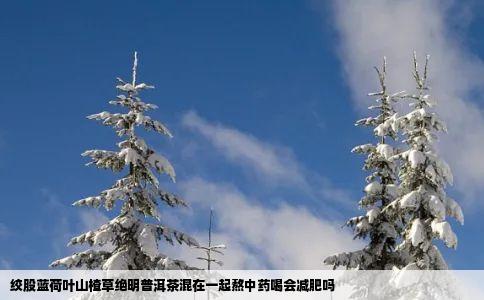 绞股蓝荷叶山楂草绝明普洱茶混在一起熬中药喝会减肥吗