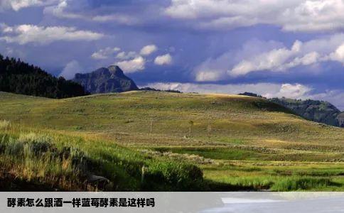 酵素怎么跟酒一样蓝莓酵素是这样吗