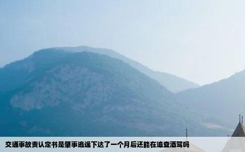 交通事故责认定书是肇事逃逸下达了一个月后还能在追查酒驾吗