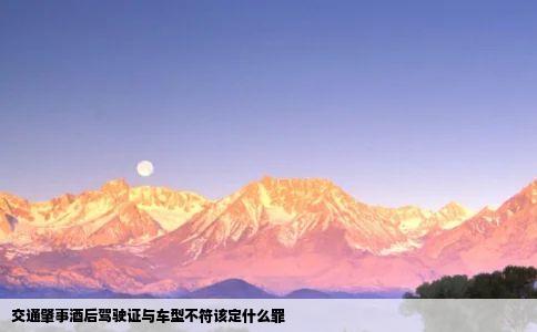 交通肇事酒后驾驶证与车型不符该定什么罪