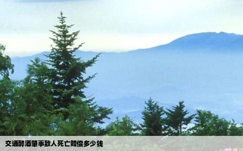 交通醉酒肇事致人死亡赔偿多少钱