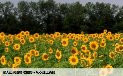 家人出现酒精依赖如何从心理上克服