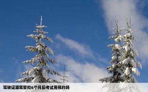 驾驶证酒驾暂扣6个月后考试用预约吗