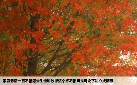 家庭矛盾一直不断陈先生也想改掉这个坏习惯可是每次下决心戒酒都