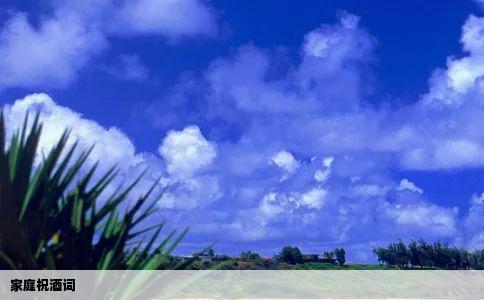 家庭祝酒词