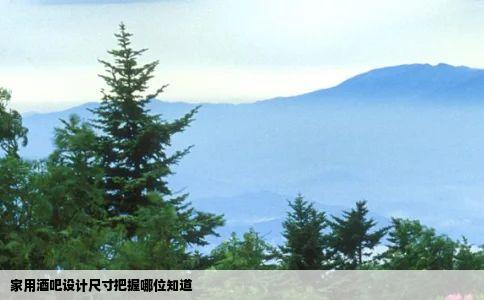 家用酒吧设计尺寸把握哪位知道