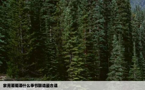 家用葡萄酒什么季节酿造最合适