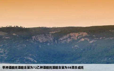 甲种酒精纯酒精含量为72乙种酒精纯酒精含量为58混合成纯