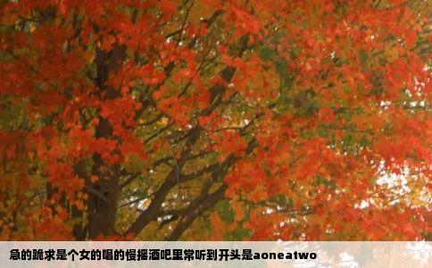 急的跪求是个女的唱的慢摇酒吧里常听到开头是aoneatwo