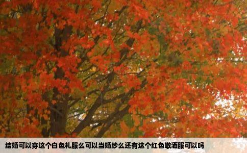 结婚可以穿这个白色礼服么可以当婚纱么还有这个红色敬酒服可以吗