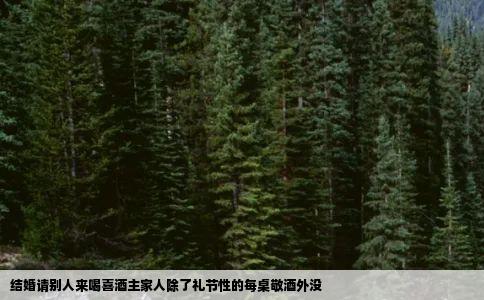 结婚请别人来喝喜酒主家人除了礼节性的每桌敬酒外没